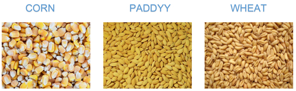 MD series application